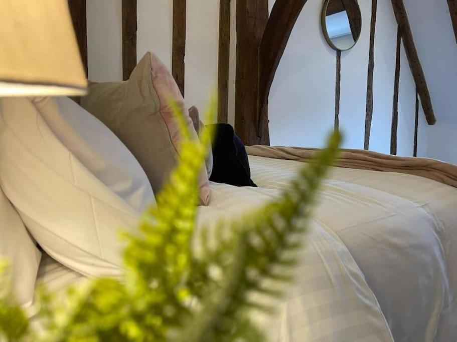 Rural Country Suites - Judge'S Lodge East Grinstead Esterno foto